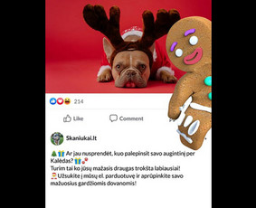 Soc. tinklų administravimas - Facebook, Instagram, Linkedin / Pagalvosiu.lt / Darbų pavyzdys ID 3655627