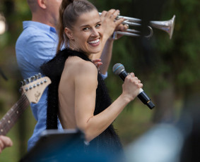 Muzikantai jubiliejui - Gyvos garso grupė - Diksai - 3