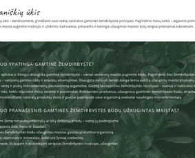 Tekstai, kurie parduoda (Lt ir En) / Neringa / Darbų pavyzdys ID 739615