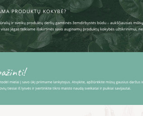 Tekstai, kurie parduoda (Lt ir En) / Neringa / Darbų pavyzdys ID 739617