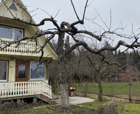 Vaismedžių gėnėjimas Kauno raj / Vaidas Urbaitis / Darbų pavyzdys ID 3657605