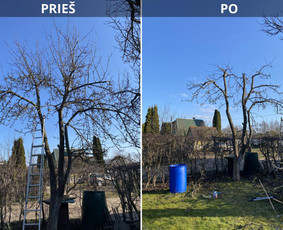 Vaismedžių gėnėjimas Kauno raj / Vaidas Urbaitis / Darbų pavyzdys ID 3657607