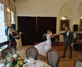 Smuikininkė Paulina / Paulina Daukšytė / Darbų pavyzdys ID 3659795