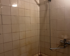 Profesionalus namų valymas, dezinfekcija- ozonu. / Valymo paslaugos / Darbų pavyzdys ID 3622885