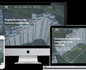 El. Parduotuvių ir Internetinių Svetainių Kūrimas, Priežiūra / Vytautas Vakulskas / Darbų pavyzdys ID 3661639