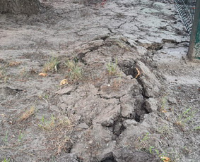 Tinklų įrengimas uždaru būdu, kryptinio gręžimo paslaugos / MB HD Drilling / Darbų pavyzdys ID 3662683