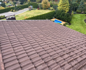 Fasado valymas - Stogų valymas ir priežiūra - 3 Stogų valymas ir priežiūra - Fasado valymas - 3