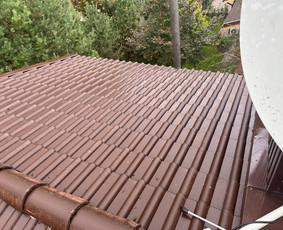 Fasado valymas - Stogų valymas ir priežiūra - 2 Stogų valymas ir priežiūra - Fasado valymas - 2