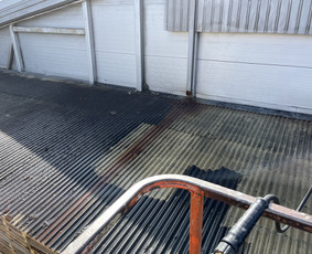 Fasado valymas - Stogų valymas ir priežiūra - 1 Stogų valymas ir priežiūra - Fasado valymas - 1