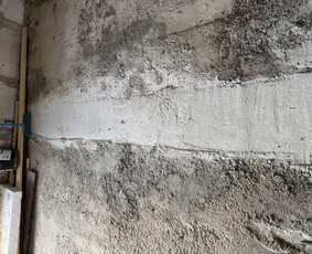 Atraminės sienelės,betoniniai laiptai,pamatai tvoroms / Daniel / Darbų pavyzdys ID 3664333