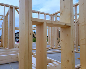 Statybos, apdaila - Teikiame Pre Cut paslaugą! I&scaron;pjausime karkaso deta - 3