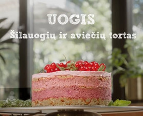 Video, kurį žiūri iki galo. Net per 24 val.  / Be Reel / Darbų pavyzdys ID 3668191