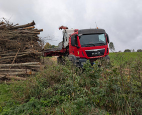 Statybos, apdaila - Medienos smulkinimo paslaugos, čipsavimas - 2