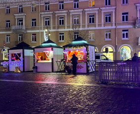 Karkasinės pirtys. Terasos. Sodo nameliai. Sandėliukai. - Pirtys, pirčių įrengimas - 4 Pirtys, pirčių įrengimas - Karkasinės pirtys. Terasos. Sodo nameliai. Sandėliukai. - 4