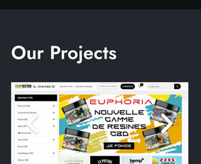 Web programavimas, verslo sistemų ir appsų kūrimas / WebCrafts / Darbų pavyzdys ID 3669815