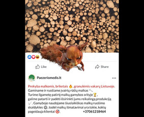 Soc. tinklų administravimas - Facebook, Instagram, Linkedin / Pagalvosiu.lt / Darbų pavyzdys ID 3669903