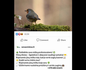 Soc. tinklų administravimas - Facebook, Instagram, Linkedin / Pagalvosiu.lt / Darbų pavyzdys ID 3669941