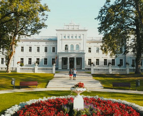 Reels, reklamų filmavimas - Video per 24val. / GERAS KADRAS / Darbų pavyzdys ID 3671393