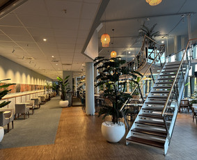 Lubų dažymas - Glaistymas/dažymas. Rekuperacija. &Scaron;ildymo sistemos. - 2