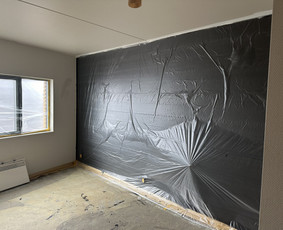 Sienų dažymas - Glaistymas/dažymas. Rekuperacija. &Scaron;ildymo sistemos. - 3