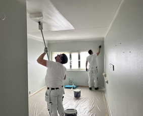 Sienų dažymas - Glaistymas/dažymas. Rekuperacija. &Scaron;ildymo sistemos. - 2