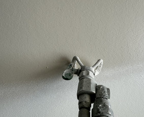 Sienų dažymas - Glaistymas/dažymas. Rekuperacija. &Scaron;ildymo sistemos. - 1