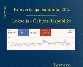 Google Ads + Facebook Reklama, Google Analytics, G-tag - Paslaugos verslui - 2 Paslaugos verslui - Google Ads + Facebook Reklama, Google Analytics, G-tag - 2