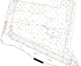 Geodeziniai matavimai, topografiniai planai - Topografinės nuotraukos - 1 Topografinės nuotraukos - Geodeziniai matavimai, topografiniai planai - 1