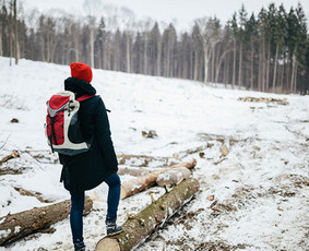 Pažintiniai žygiai, ekskursijos, gido paslaugos - Ekskursijos po Kauną - 1 Ekskursijos po Kauną - Pažintiniai žygiai, ekskursijos, gido paslaugos - 1