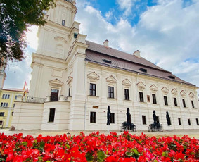 Šampano taurė Kauno Rotušėje - Šampano staliukas - 1 Šampano staliukas - Šampano taurė Kauno Rotušėje - 1
