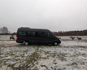 Keleivių pervežimas mikroautobusais su vairuotoju / TRANSFERSLTU / Darbų pavyzdys ID 3681851