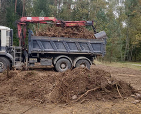 Statybos, apdaila - Savivarčio paslaugos/nuoma - 1