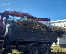 Statybos, apdaila - Savivarčio paslaugos/nuoma - 4