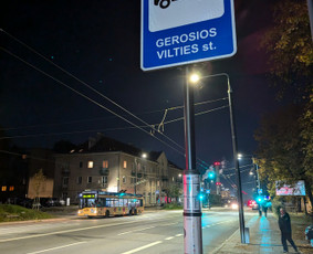 Kuno Masažas Vilniuje / Kūno Masažas Vilniuje / Darbų pavyzdys ID 3685137
