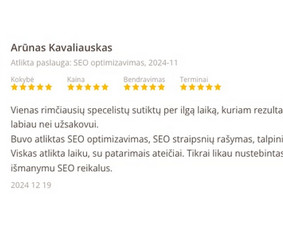 Seo, Ai Seo jūsų projektams. Nemokama konsultacija / Mantas Tamošaitis / Darbų pavyzdys ID 3686083