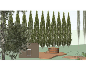 Apželdinimo projektai, augalų planai- privačiam sklypui / SODO NORAI / Darbų pavyzdys ID 3687781