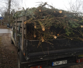 Šakų išvežimas - Šiukšliu nereikalingų daiktų, statybinių atliekų išvežimas - 1