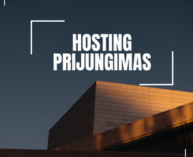 Svetainių talpinimas (Hosting) - Pigus ir greitas reprezentacinių svetainių kūrimas - 1