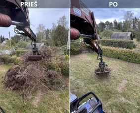Pavojingu medžiu pjovimas, sklypų valymas, šakų išvežimas - Apleistų sklypų tvarkymas - 2 Apleistų sklypų tvarkymas - Pavojingu medžiu pjovimas, sklypų valymas, šakų išvežimas - 2