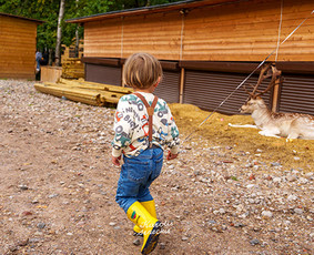 Sporto+renginių+švenčių fotografavimas / Karolis Seneckis / Darbų pavyzdys ID 3695989