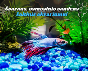 Soc. tinklų administravimas - Facebook, Instagram, Linkedin / Pagalvosiu.lt / Darbų pavyzdys ID 3698683