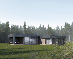 Gyvenamųjų namų projektavimas / Monarch studija, MB / Darbų pavyzdys ID 3699917