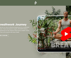 Internetinių Svetainių Kūrimas (Shopify) / SeoWebHub / Darbų pavyzdys ID 3701379