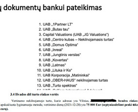 Verslo planai / būsto ir verslo paskolų tarpininkavimas / Aurimas Bikulčius / Darbų pavyzdys ID 3702329