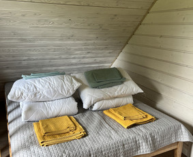 Sodybų nuoma ir pirties ritualai su pirtininku / Jūratė Martinkėnaitė / Darbų pavyzdys ID 3703251