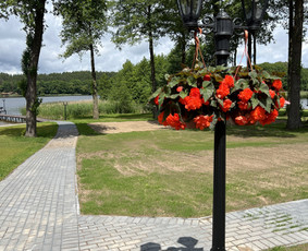 Sodybų nuoma ir pirties ritualai su pirtininku / Jūratė Martinkėnaitė / Darbų pavyzdys ID 3703043