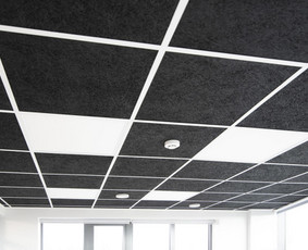 Armstrong lubų montavimas - Vidaus apdailos darbai. Vilniuje - 1