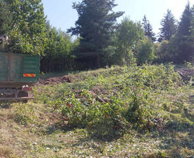 Šakų išvežimas - Sklypų tvarkymas, statybvietės paruošimas - 2