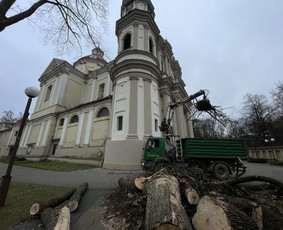Šakų išvežimas - Sklypų tvarkymas, statybvietės paruošimas - 1