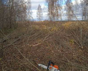 Sklypų tvarkymas, statybvietės paruošimas - Šakų smulkinimas - 2 Šakų smulkinimas - Sklypų tvarkymas, statybvietės paruošimas - 2